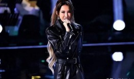 李玟录音爆料视频在线观看,独家视频揭秘幕后真相