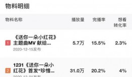 送你一朵小红花爆料视频,幕后故事与精彩瞬间